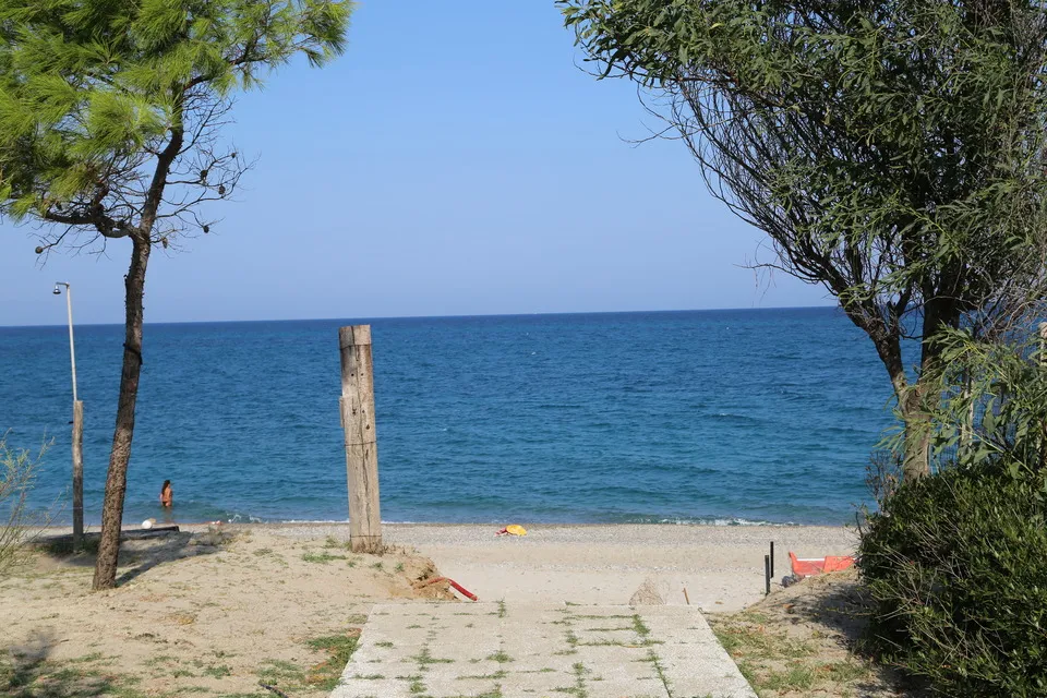 A tree-framed entryway to the beach