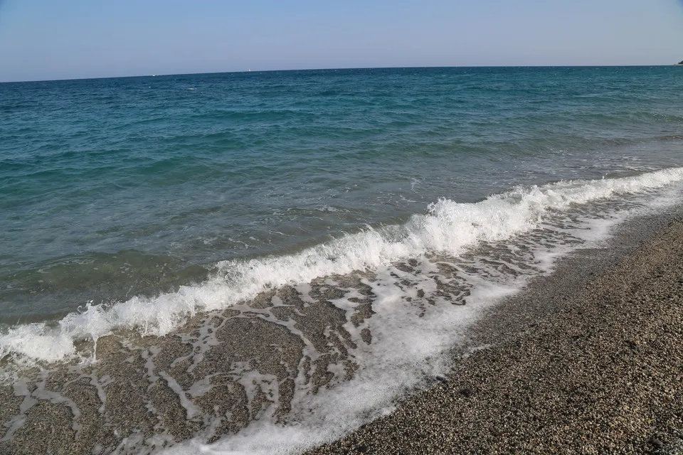 Close-up of the shoreline